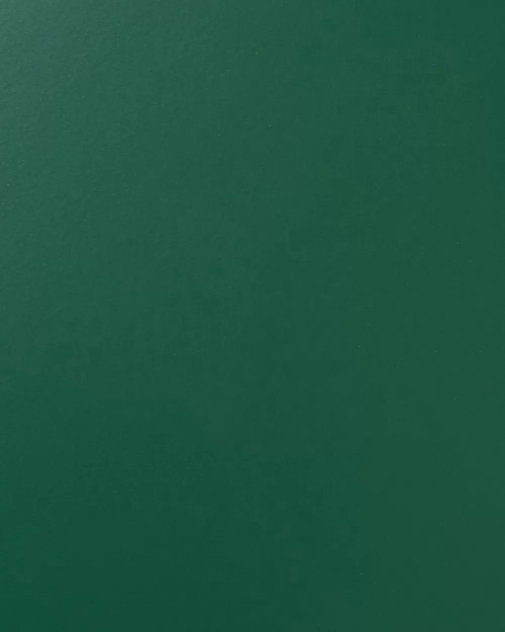 Beliani Outlet: Scaffale Verde in Acciaio con 2 Ante e 3 Ripiani - Collezione Wakatipu, Design Elegante per la Casa
